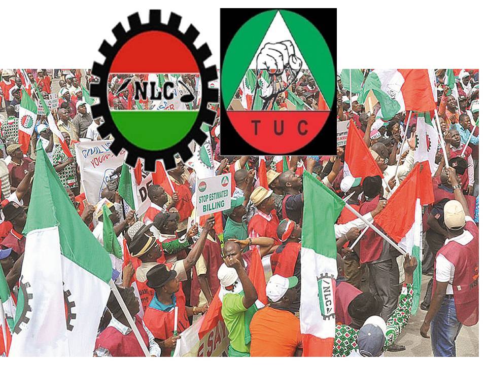 Nigerian Labour Congress (Nlc) And The Trade Union Congress (Tuc)