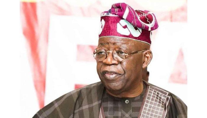 President Tinubu Unveils Investor-Friendly Reforms, Explores New Trade Alliances With Ambassadors