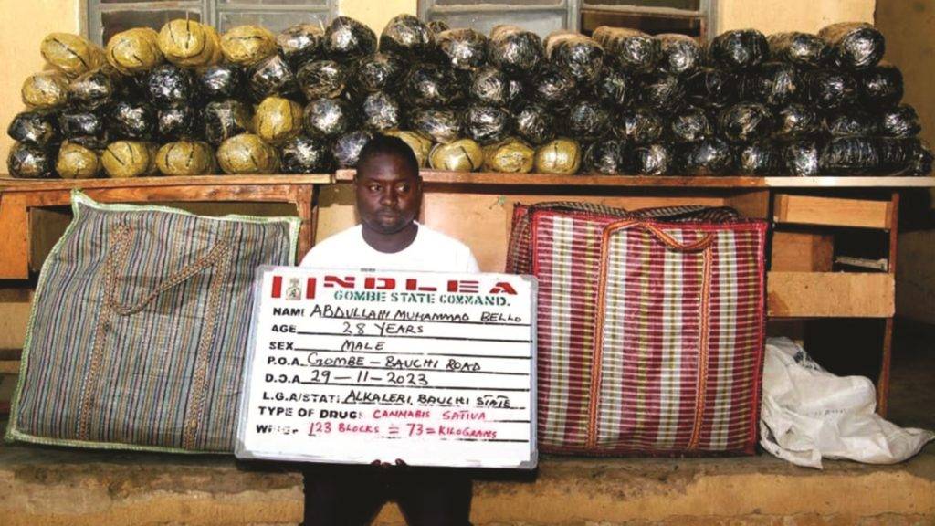 Ndlea'S Unveils 5 Powerful Tactics: Busts Drug Syndicates