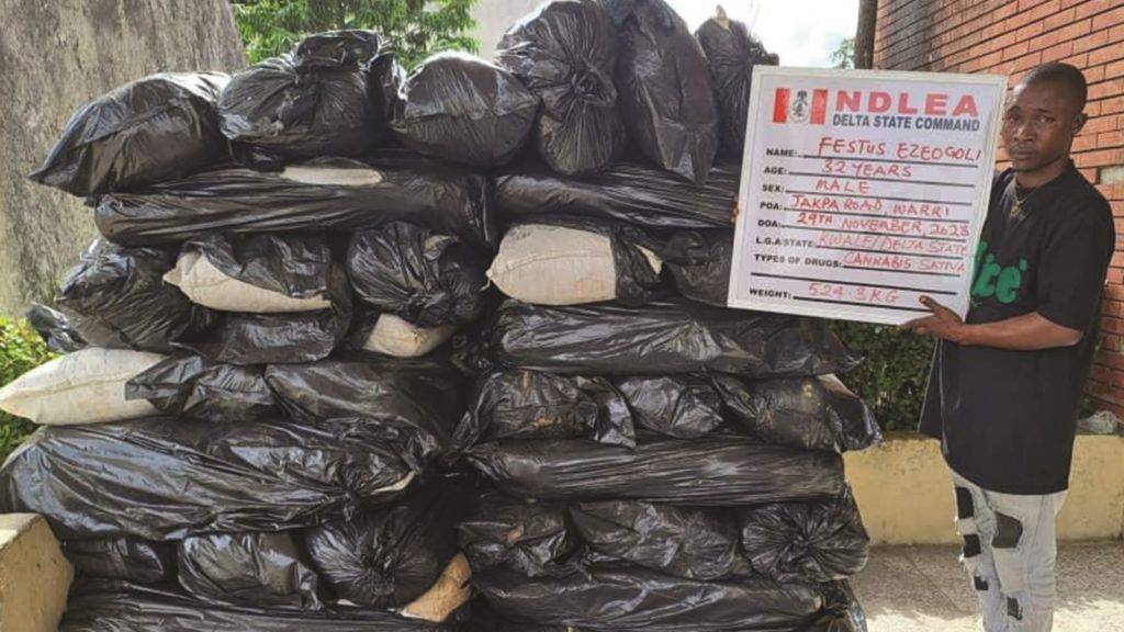 Ndlea'S Unveils 5 Powerful Tactics: Busts Drug Syndicates