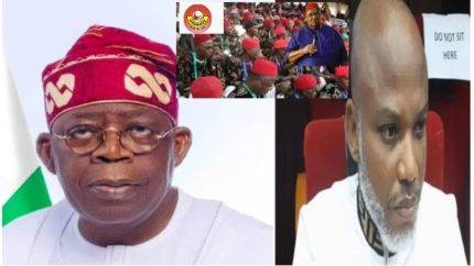 Unity At Last: Ohanaeze Endorses Tinubu As President, Calls For Nnamdi Kanu'S Release