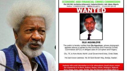 Wole Soyinka Denounces Unjust Detention Of Former Minister Of Power By Efcc In $6 Billion Fraud Case