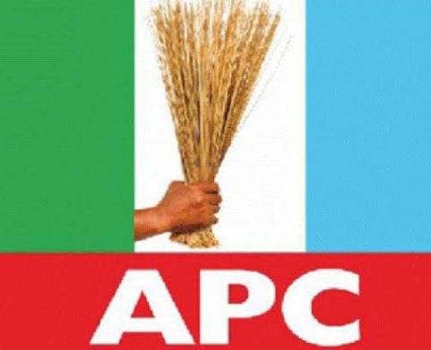 Breaking Down The Ebonyi South Senatorial District Bye-Election: 5 Key Points On Apc'S Candidate Selection And Political Dynamics