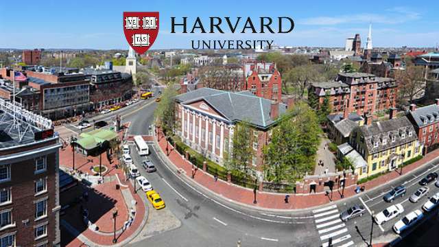 Scholars: Harvard President Claudine Gay'S Resignation Is Politically And Racially Motivated 