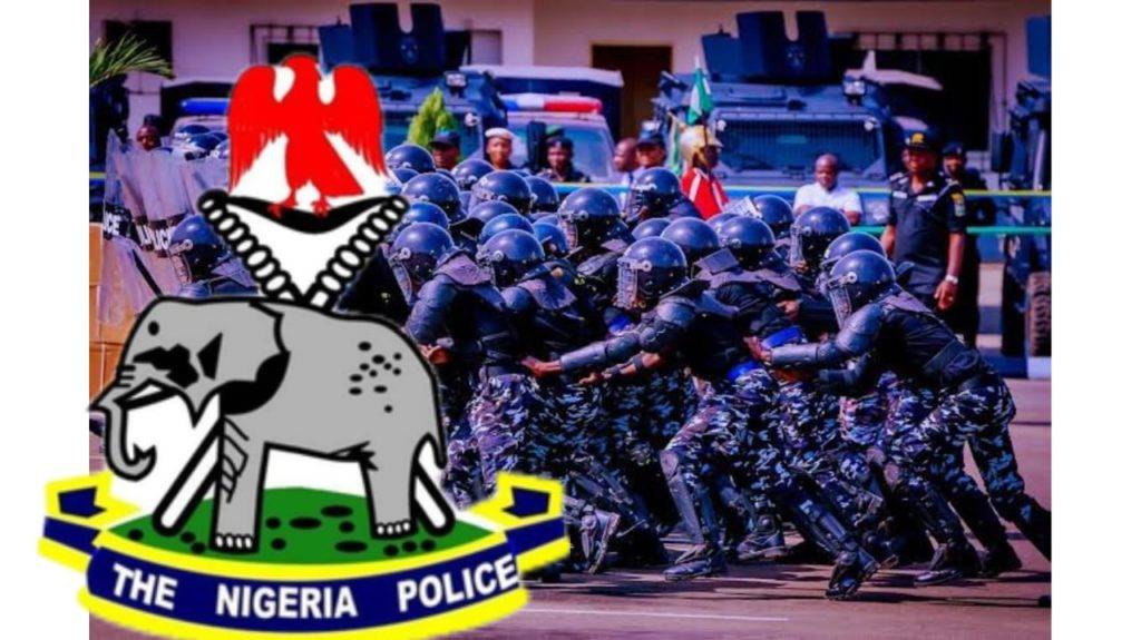 Nigeria Police Force'S Win: Bello Mohammed, Notorious Kidnapper, Apprehended In Kaduna Operation