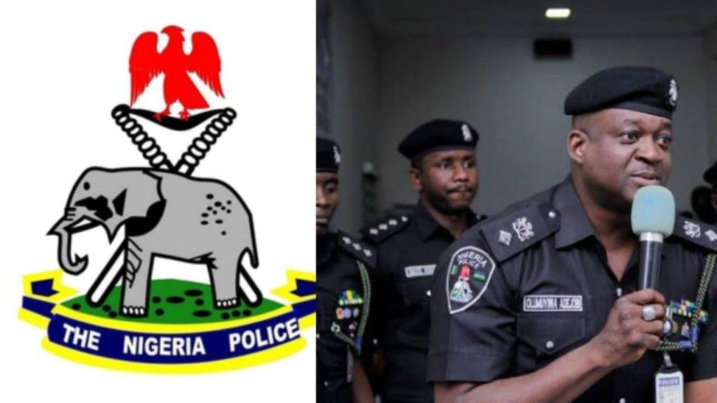 Nigeria Police Force'S Win: Bello Mohammed, Notorious Kidnapper, Apprehended In Kaduna Operation