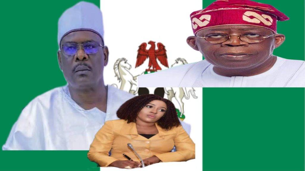 Senator Ndume Urges Swift Presidential Action To Dismantle Emerging Political Cartel: A Critical Analysis Of Tinubu'S Leadership Amidst Financial Impropriety