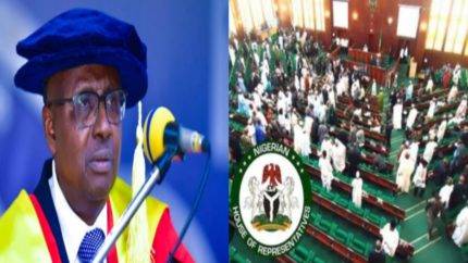 Vice Chancellors Unleash Fury As Lawmakers Face Off Over N683 Billion Education Fund