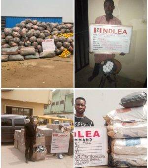 Ndlea Foils Massive Drug Smuggling Operation