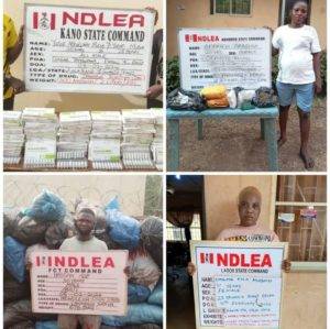 Major Drug Busts Across Eight States: Ndlea Intercepts Massive Drug Shipments In Nasarawa And Beyond