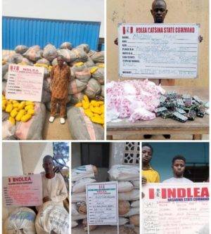 Ndlea Foils Massive Drug Smuggling Operation