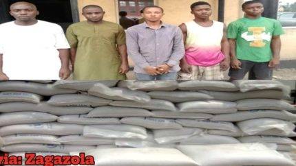 Nigeria Police Force Foils Wheat Theft Plot: Ensuring Humanitarian Integrity And National Security