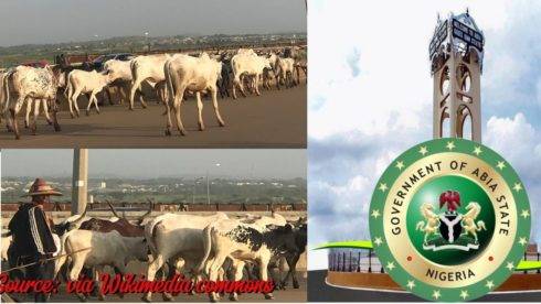 Legal Battle Ensues: Cattle Traders Take Stand Against Abia State Government'S Security Measures, Key Figures Lead Charge