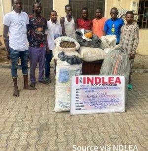 Ndlea Intercepts Illicit Drug Consignment In Commercial Bus