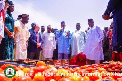 Tomato Processing Factory, Largest In West Africa, Commissioned In Gafara, Ngaski Lg Of Kebbi By Spanish Firm