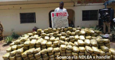 Ndlea Arrested Pregnant Woman, Widow Over N3.2M Counterfeit Cash And Illicit Substances In Nationwide Raids