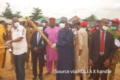 Ndlea Destroys Massive Haul Of Illicit Drugs In Lagos And Ogun