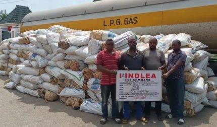 Ndlea Smashes Negative International Drug Syndicate In Nigeria