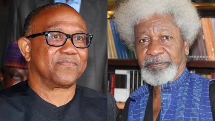 Wole Soyinka's Damning Allegations Against Peter Obi of Encouraging Online Attacks by Supporters After 2023 presidential Election