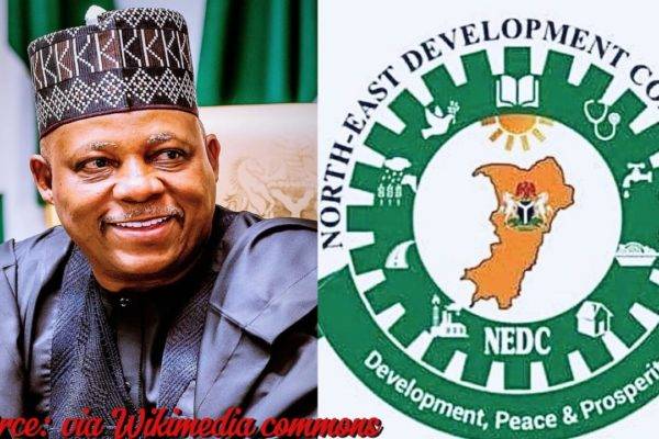 Vice President, Kashim Shetima Ignites Northeast Transformation: Groundbreaking Nedc Headquarters In Maiduguri