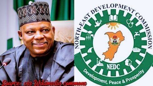 Vice President, Kashim Shetima Ignites Northeast Transformation: Groundbreaking Nedc Headquarters In Maiduguri