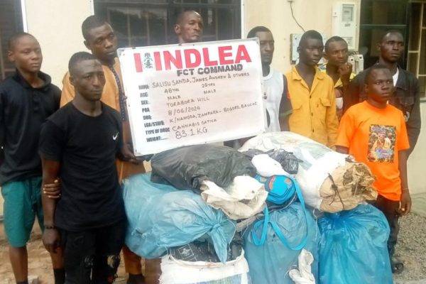 Ndlea Scores Major Victory In Crackdown On Codeine Shipments From India