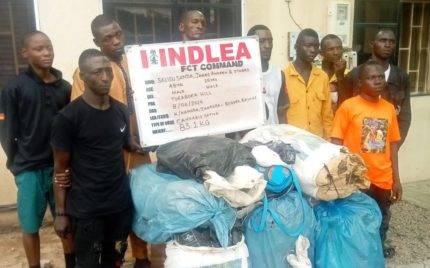 Ndlea Scores Major Victory In Crackdown On Codeine Shipments From India