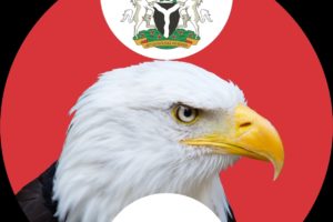 Efcc Criticizes Foreigner And Guests Over Controversial Naira-Spraying Incident