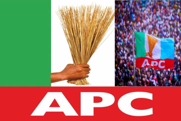 Apc Enthusiastically Prepares For Crucial National Executive Committee Meeting Despite Rising Tensions