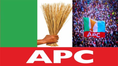 APC Berates Faction Flooding Kano With Jonathan’s 2027 Posters