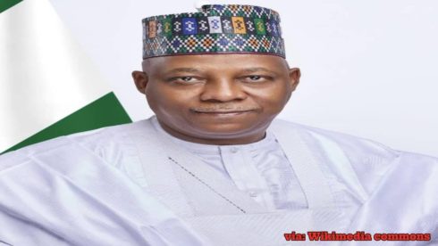 Vice President Kashim Shettima Stresses Private Sector Role In Economic Growth At Nes30