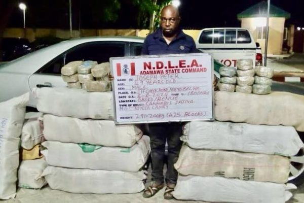 Ndlea Triumphs Over Ruthless Cocaine Syndicates In Nationwide Raids, Seizes Multi-Billion-Naira Drugs