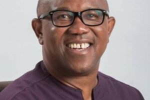 Peter Obi Criticizes Presidency For Diverting Attention With Us Election Comparisons