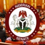 Senate Supports Local Government Autonomy, Criticizes Governors' Actions