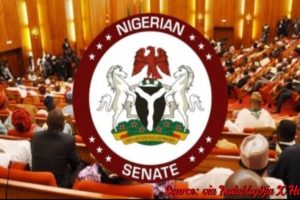 Senate Supports Local Government Autonomy, Criticizes Governors' Actions