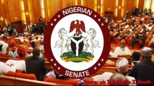 Senate Supports Local Government Autonomy, Criticizes Governors' Actions