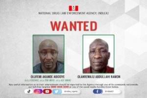 Ndlea Arrests Wanted Drug Baron Linked To Multiple Cocaine Shipments