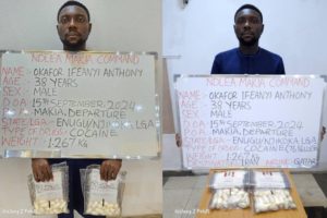 Ndlea Seizes N14.9Bn Opioids And Cannabis, Arrests Key Figures