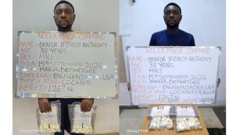 Ndlea Seizes N14.9Bn Opioids And Cannabis, Arrests Key Figures