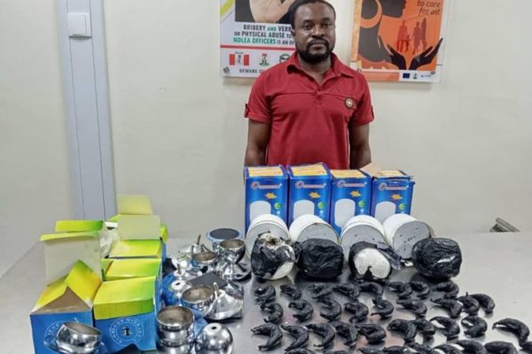 Ndlea Arrests Auto Parts Dealer For Smuggling Heroin And Loud In Lamps And Sofa Legs