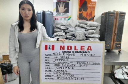 Ndlea Secure Conviction Of Canadian National In Court And Sentenced To 11 Years For Importing Illicit Drugs Into Nigeria