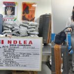 Ndlea Arrests Canadian Woman At Lagos Airport With 35Kg Of Synthetic Cannabis