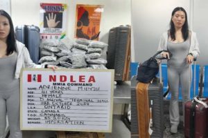 Ndlea Arrests Canadian Woman At Lagos Airport With 35Kg Of Synthetic Cannabis