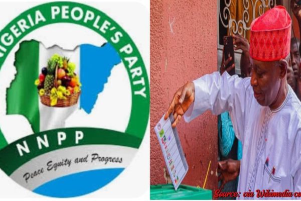 Nnpp Sweeps All Chairmanship And Councillorship Positions In The 44 Kano State Lga