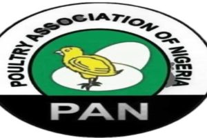 Poultry Association Of Nigeria (Pan) Warns Of Possible Egg Price Hike From N 5,500 To N 10, 000 Per Crate