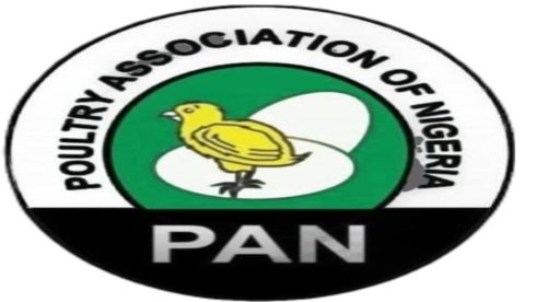 Poultry Association Of Nigeria (Pan) Warns Of Possible Egg Price Hike From N 5,500 To N 10, 000 Per Crate