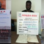 Ndlea Thwarts Uk, Italy, Turkey, And Qatar-Bound Drug Consignments In Lagos And Abuja