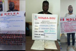 Ndlea Thwarts Uk, Italy, Turkey, And Qatar-Bound Drug Consignments In Lagos And Abuja