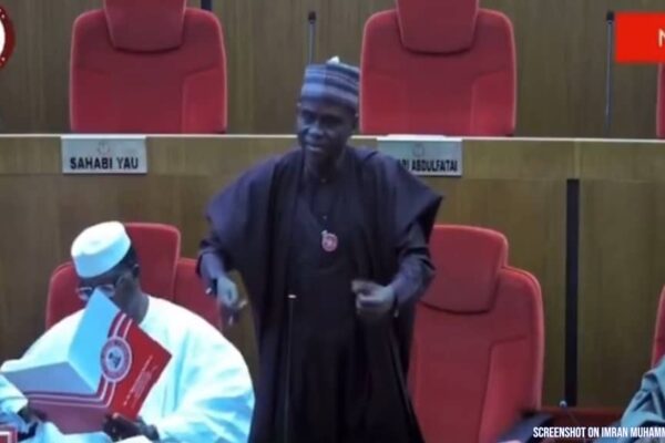 Senate Showdown: Senator Ali Monguno Champions Bold Transformative Tax Reforms Amidst Senator Ali Ndume’s Sharp Procedural Criticism