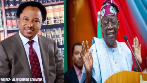 Senator Shehu Sani Praises President Tinubu’s Transformative Foreign Travels: From Wasteful to Wealth-Building Diplomacy